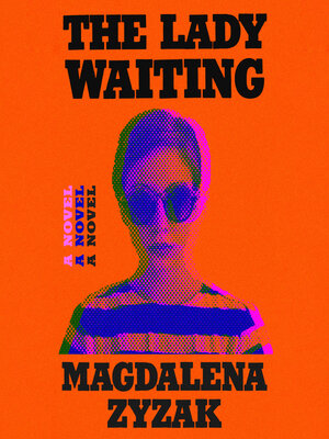 cover image of The Lady Waiting